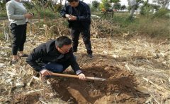 家用土壤养分检测仪实现个人测土